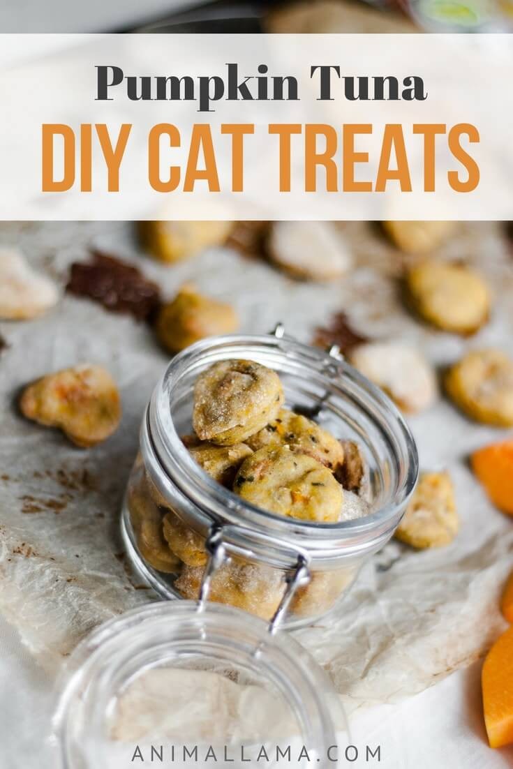 Cat treats recipe