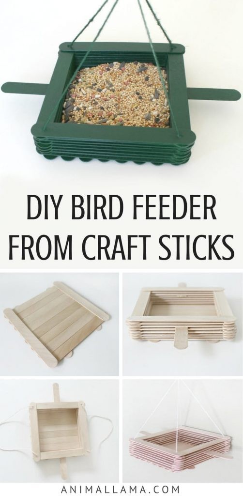 How to make a DIY bird feeder