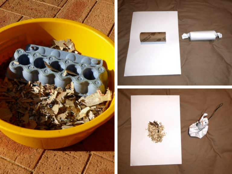 7 Easy DIY Rat Toys to Enrich Your Rats’ Lives