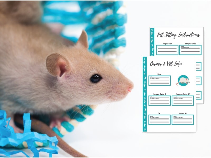 Pet planner for mice owners