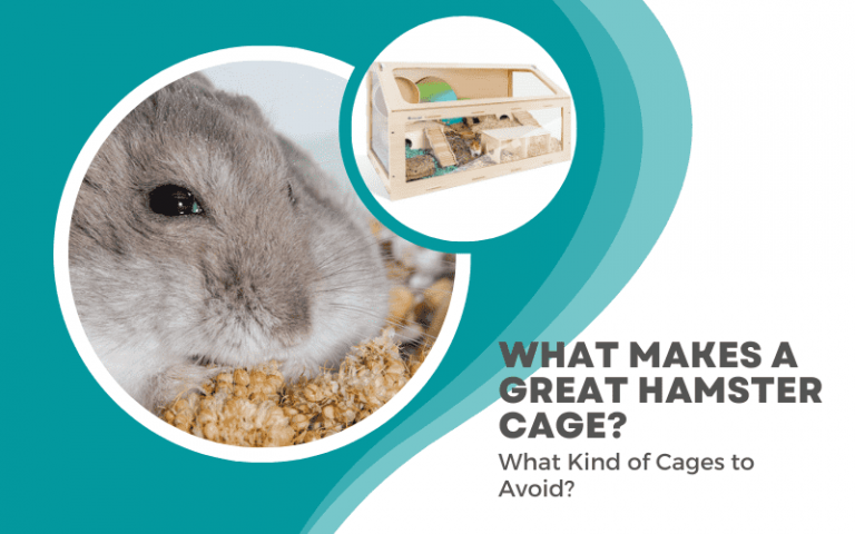 Best Hamster Cages: Ethical Cage Requirements for a Happy Hamster