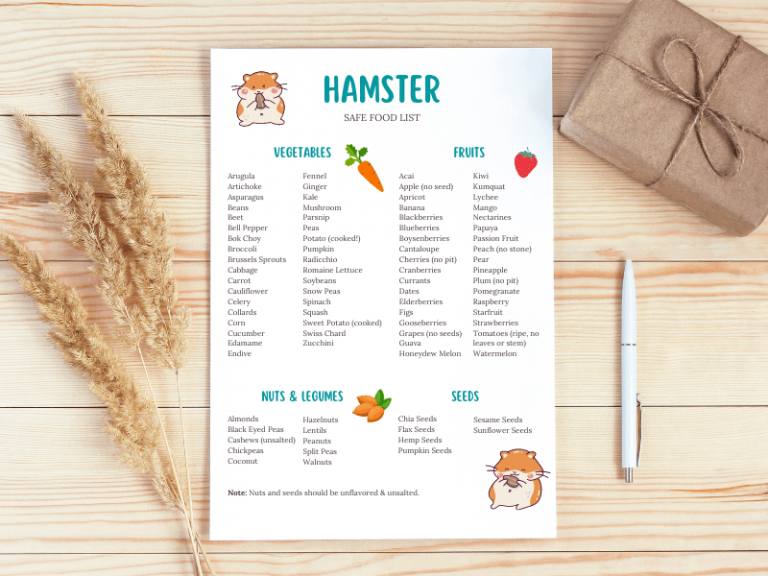 Safe & Unsafe Hamster Food List: Veggies, Fruits, Nuts, Seeds, Herbs, Protein & More