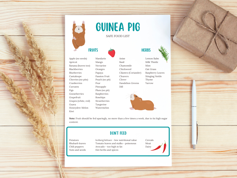 Guinea Pig Fruits and Herbs List