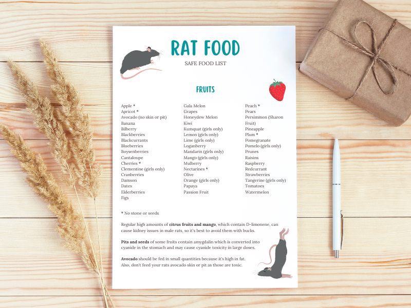 Rat Food List Others