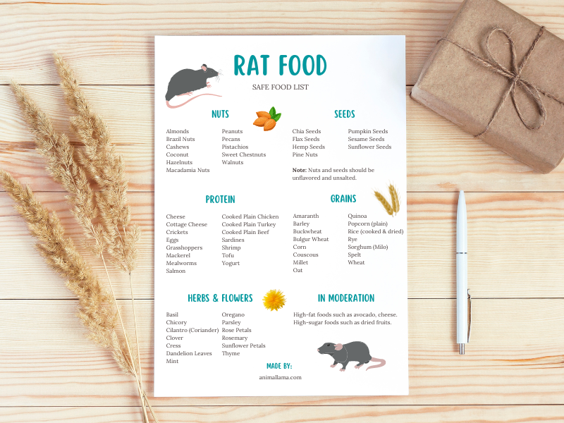Rat Food List Others