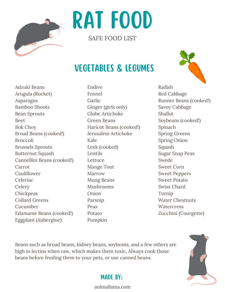 Safe Rat Food Chart - Vegetables Legumes