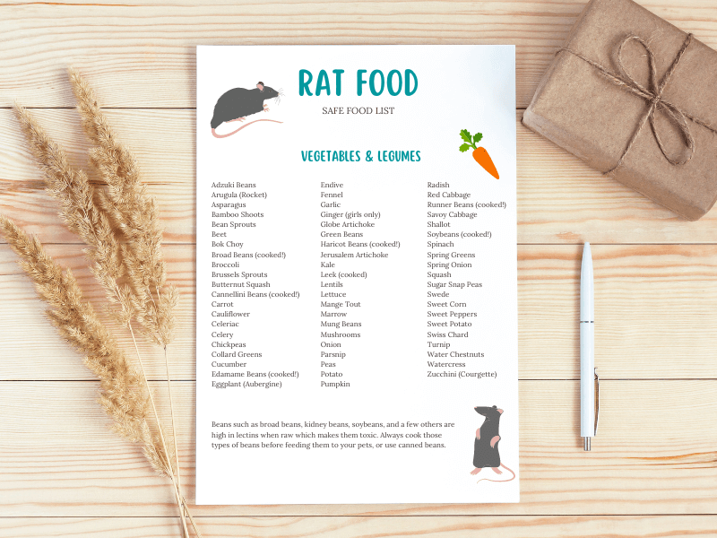 Safe Rat food list printable