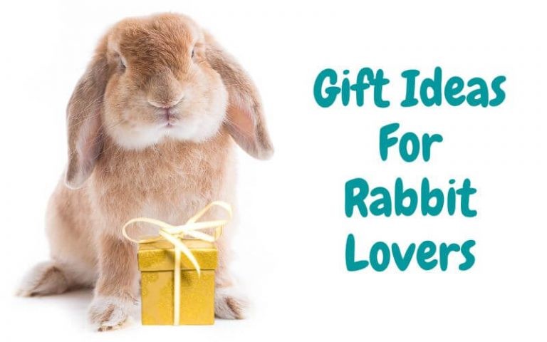 16 Creative Gifts for Rabbit Lovers & Owners