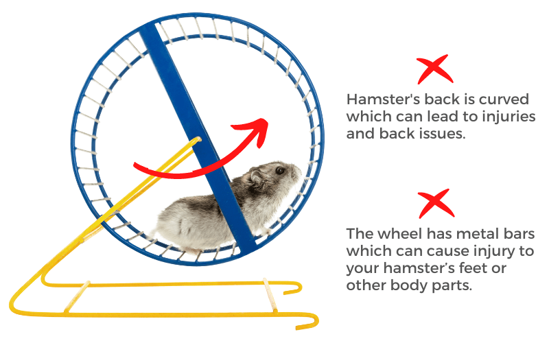 Unsafe hamster wheels