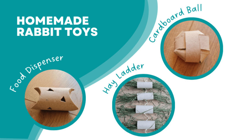 10 Simple & Cheap Homemade Rabbit Toys