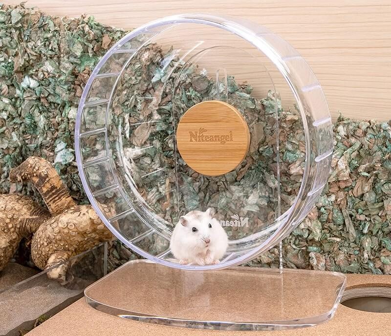 Best hamster wheel