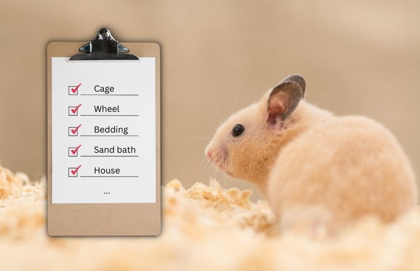 Hamster supplies list