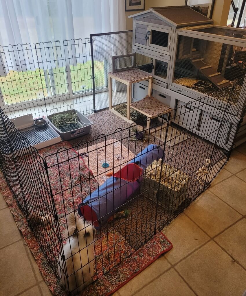 Tamlyn Heart Rabbit cage